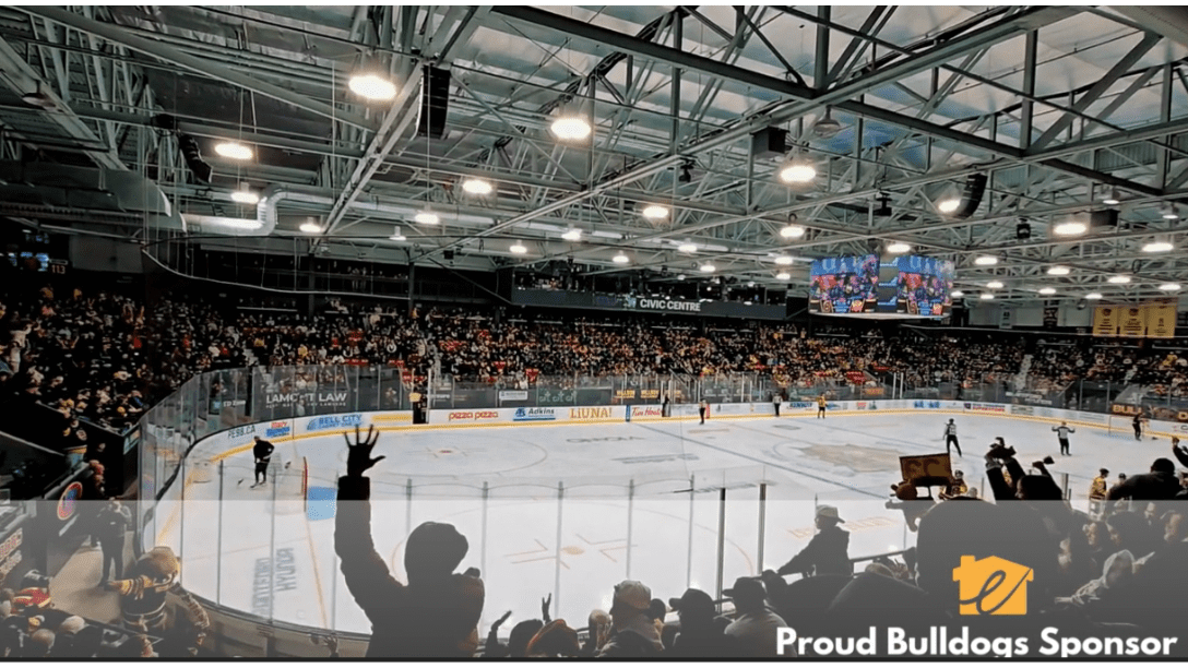 Crowd at a Bulldogs Game